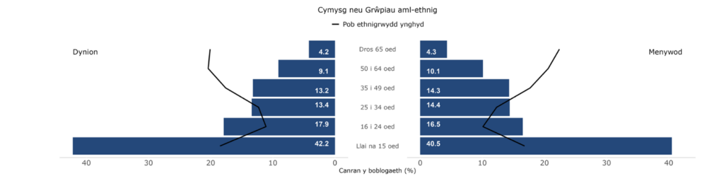 Anghydraddoldebau mewn Cyfraddau Canser yng Nghymru yn ôl Nodweddion Cymdeithasol-ddemograffig, 2011-2020