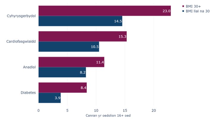 Canran yr oedolion 16 oed neu hŷn yng Nghymru sydd â chyflwr cronig sy’n byw gyda gordewdra o’u cymharu â’r rhai nad ydynt yn byw gyda gordewdra