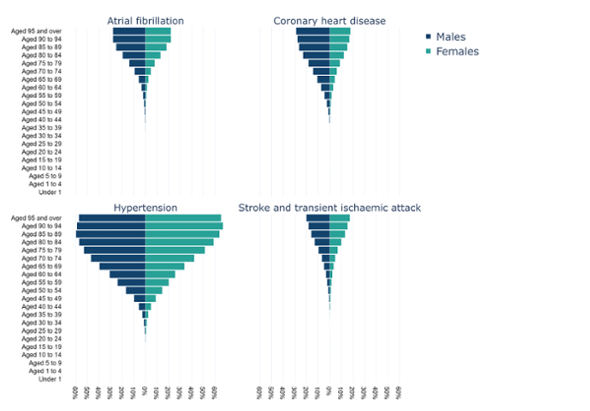 Population pyramid for cardiovascular disease and risk factor register patients 2023/24, percentage