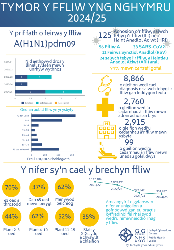 Ffeithlun yn dangos tymor ffliw yng Nghymru 2024–25, gan gynnwys y straen dominyddol (A(H1N1)pdm09), achosion, cyfraddau ysbytai a derbyn brechlyn yn ôl grŵp oedran a chategori risg.
